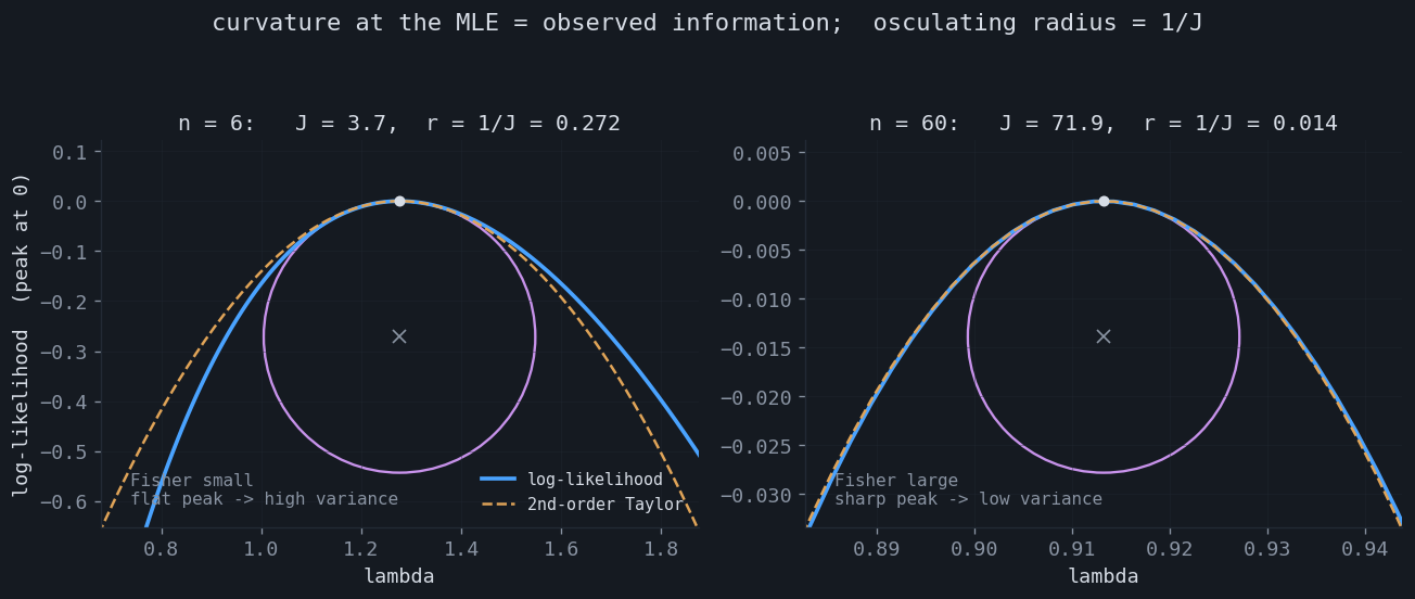 Log-likelihood of an exponential model with its second-order Taylor parabola and osculating circle, at two sample sizes