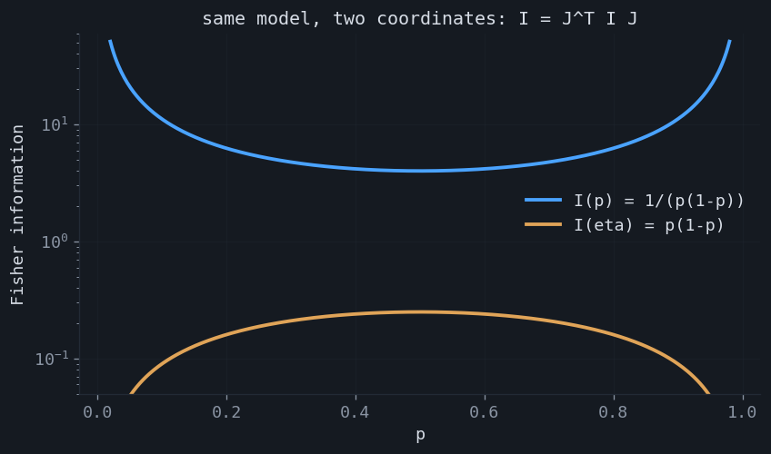 Bernoulli Fisher information in two coordinate systems: divergent at the edges in the natural-probability coordinate and bounded in the logit coordinate